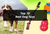 Top 10 Best Dog Toys