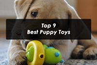 Top 9 Best Puppy Toys