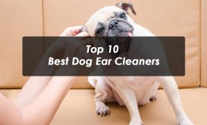 Top 10 Best Dog Ear Cleaners