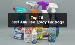 Top 10 Best Anti Pee Spray For Dogs