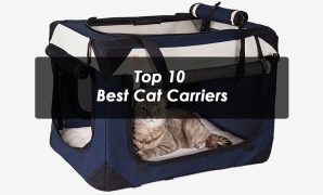 Top 10 Best Cat Carriers