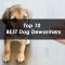 Top 10 BEST Dog Dewormers
