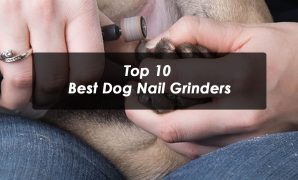 Top 10 Best Dog Nail Grinders