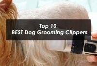 Top 10 BEST Dog Grooming Clippers