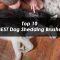 Top 10 BEST Dog Shedding Brushes